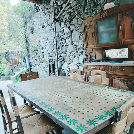 Gite Et Jardin En Bord De Riviere Saumane Luaran gambar