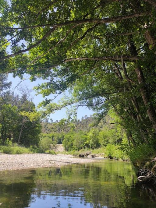 Gite Et Jardin En Bord De Riviere Saumane Luaran gambar