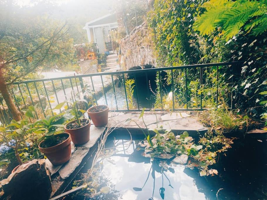 Gite Et Jardin En Bord De Riviere Saumane Luaran gambar