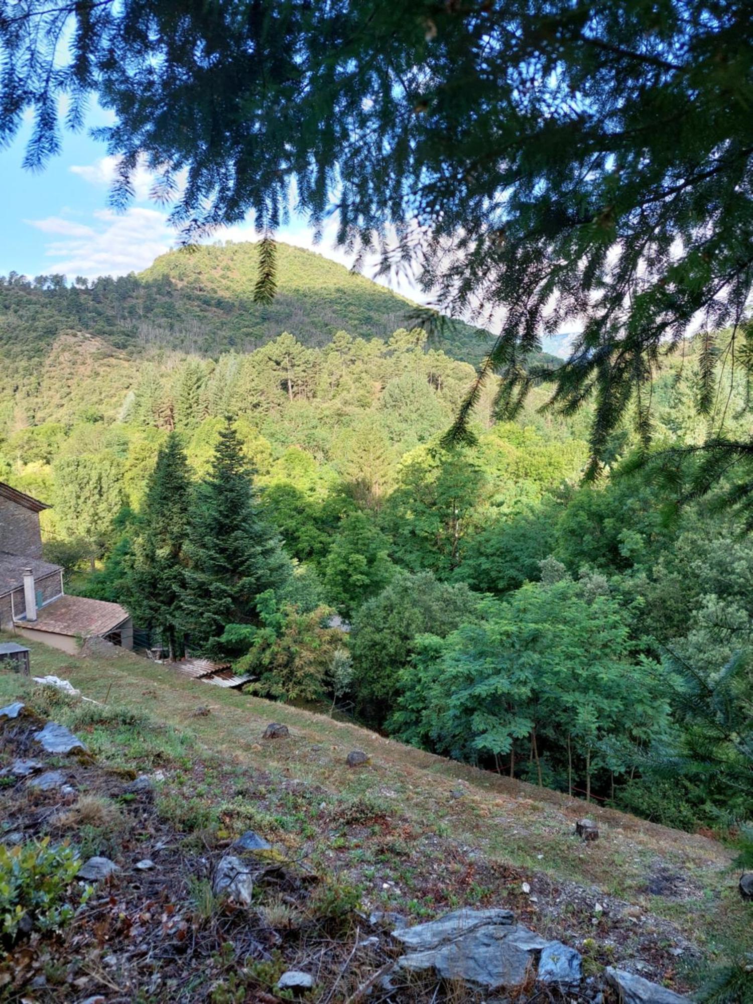 Gite Et Jardin En Bord De Riviere Saumane Luaran gambar