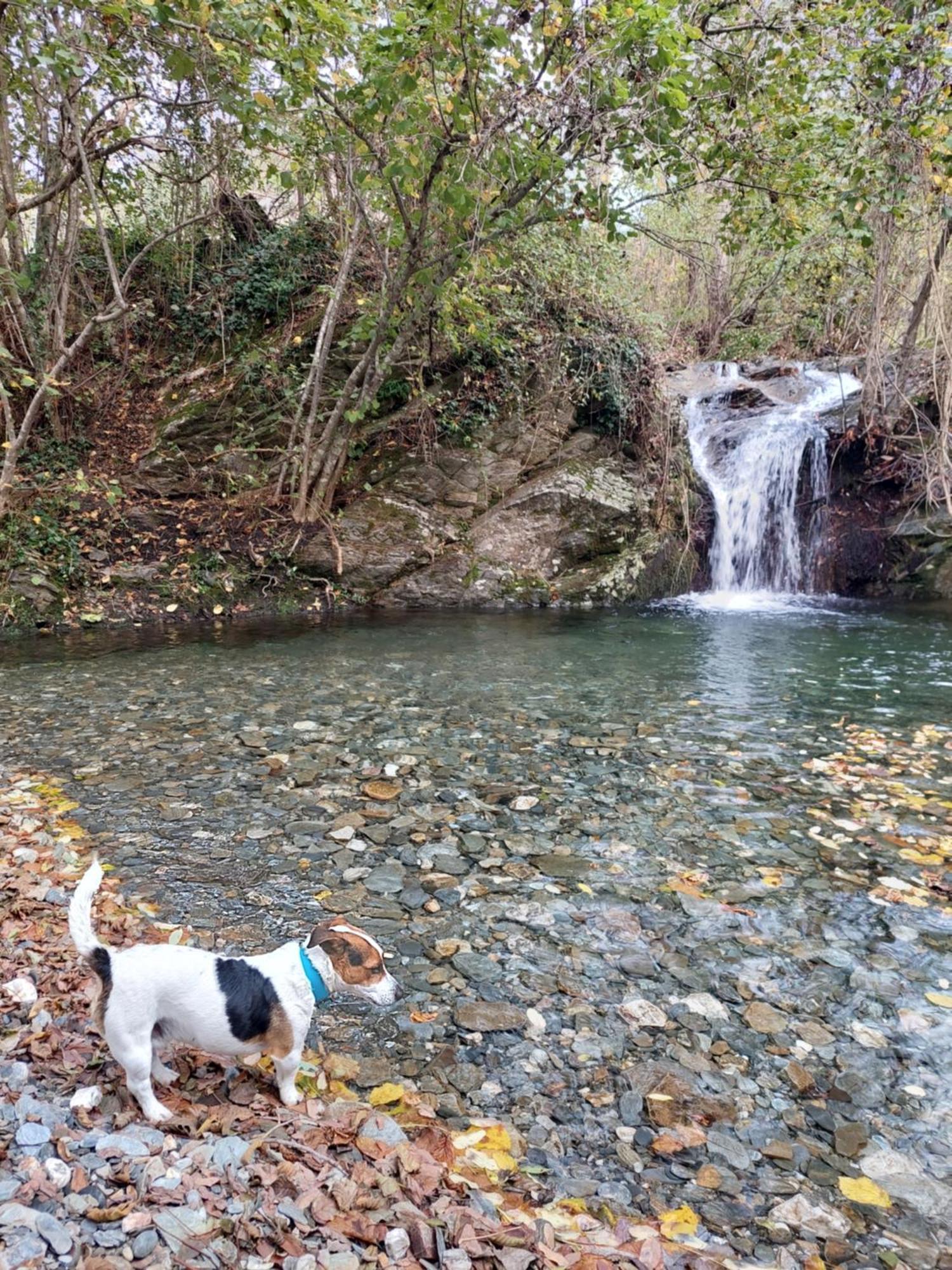 Gite Et Jardin En Bord De Riviere Saumane Luaran gambar